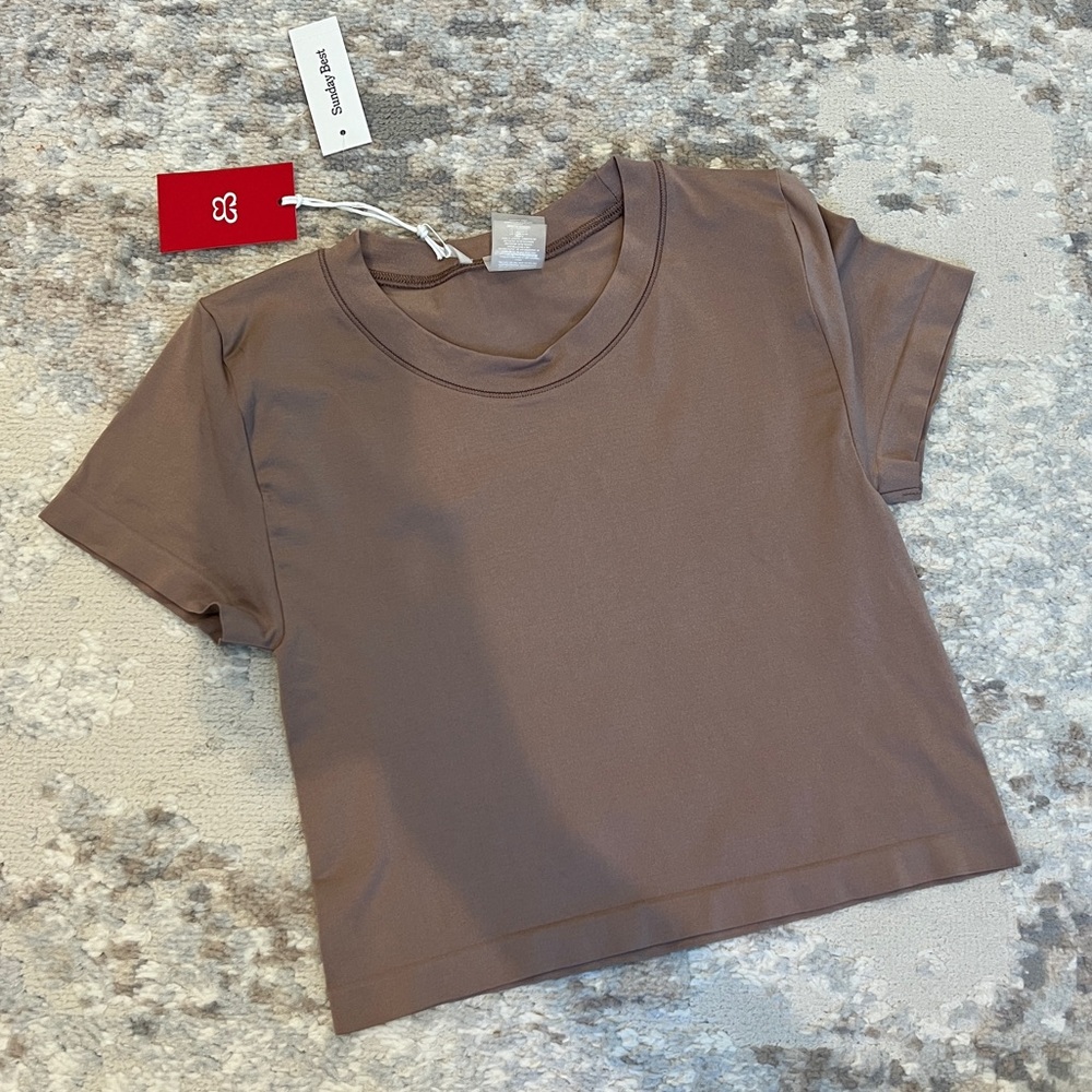 ARITZIA Smooth Seamless Willow Cropped T